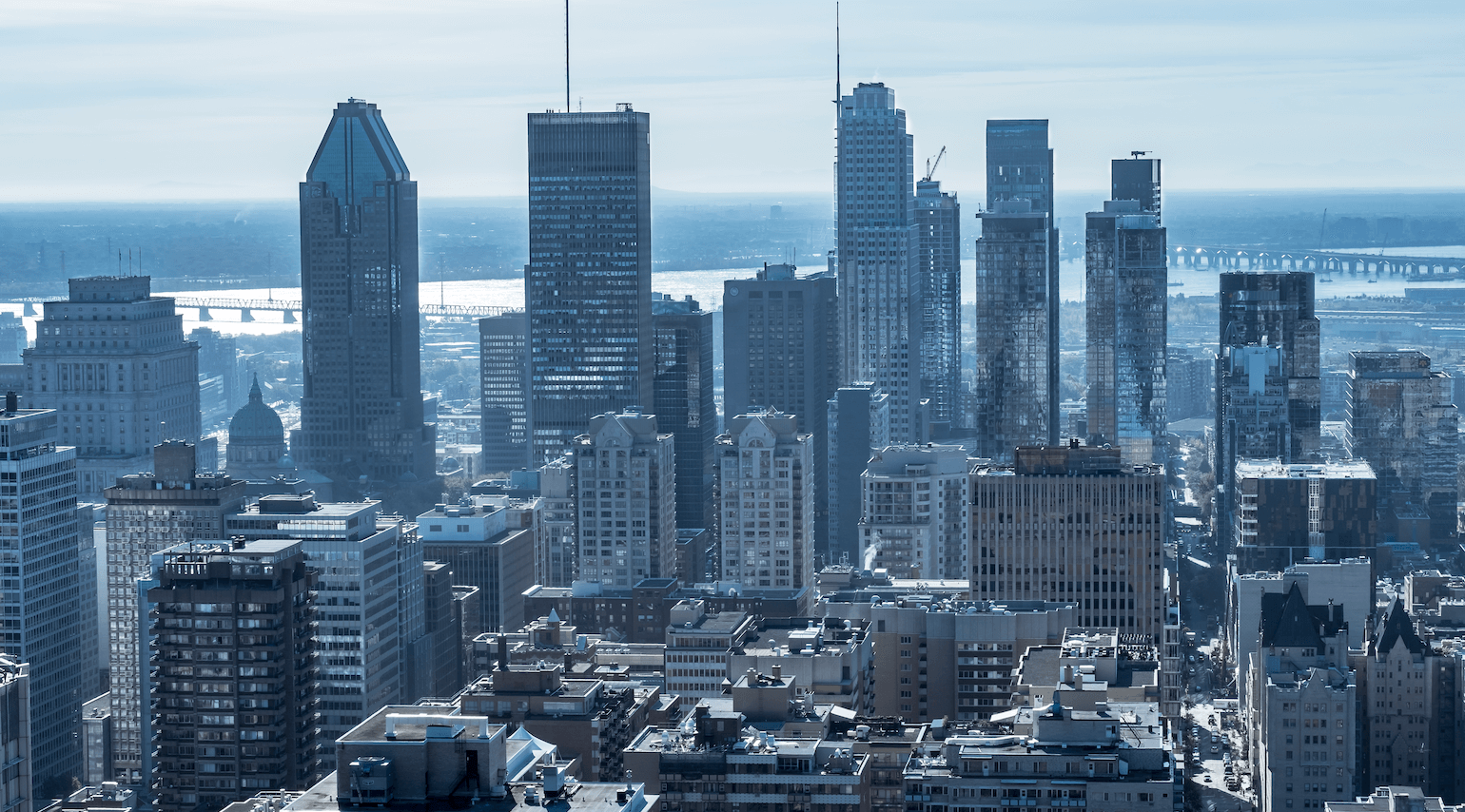 zipplex_montreal-Bofu Agence Marketing